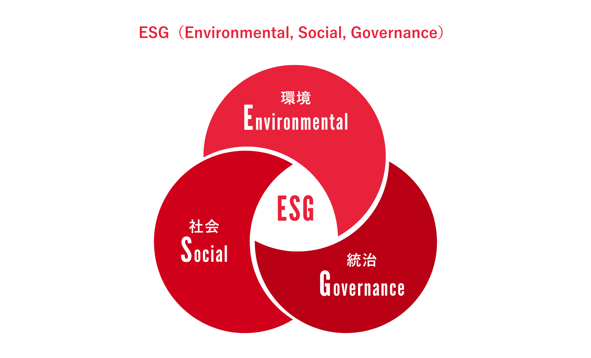 ESG（Environmental, Social, and Governance）